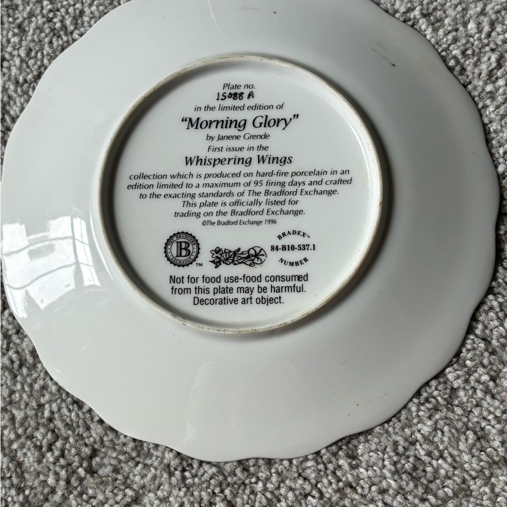 Floral Harmony Decorative Plate with Hummingbirds - Picture 6 of 6